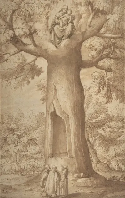 The Beech Tree Of The Madonna At La Verna