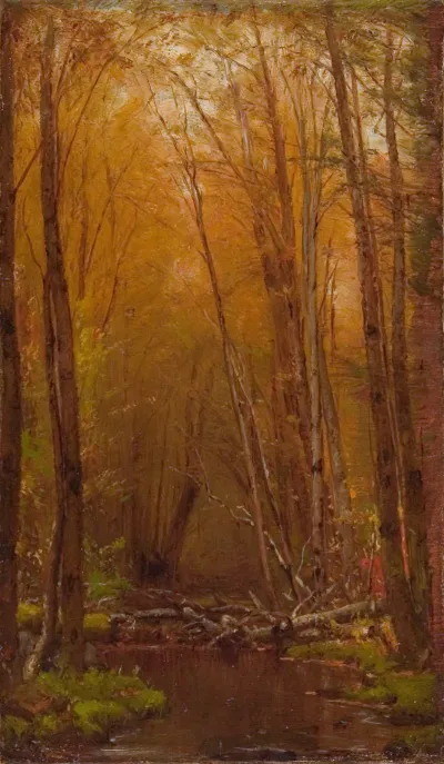The Birches Of The Catskills