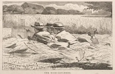 The Bird Catchers 3