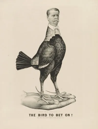 The Bird To Bet On
