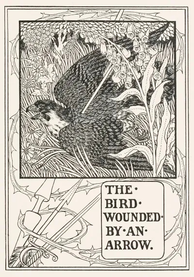The Bird Wounded By An Arrow