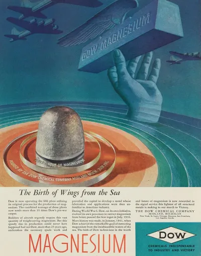 The Birth Of Wings From The Sea