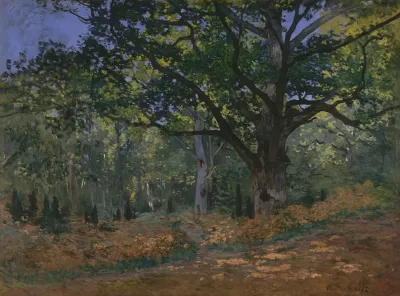 The Bodmer Oak Fontainebleau Forest