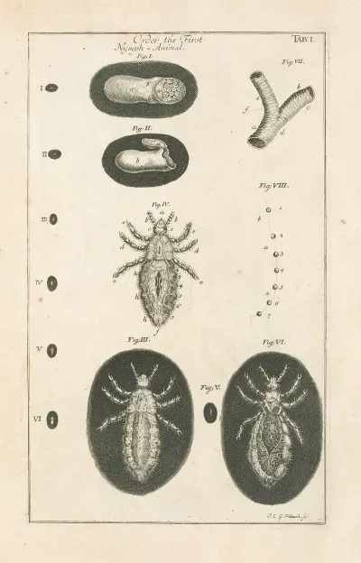 The Book Of Nature Or The History Of Insects Pl 01