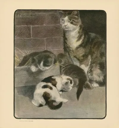 The Book Of The Cat Pl 2