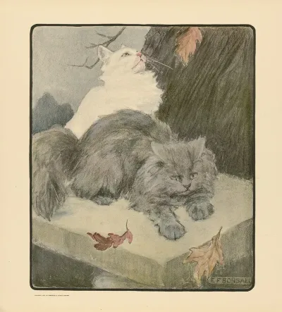 The Book Of The Cat Pl 5
