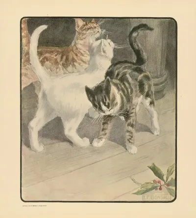 The Book Of The Cat Pl 6