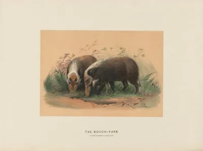 The Bosch Vark 2