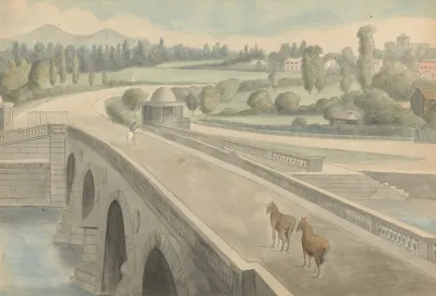 The Bridge 7