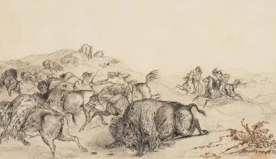 The Buffalo Hunt 2