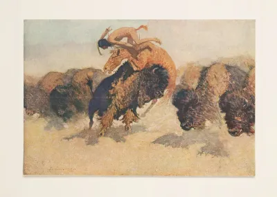 The Buffalo Runner