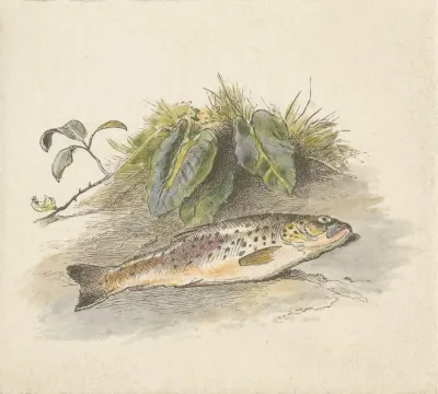 The Burn Tail Piece