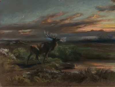 The Call Of The Stag