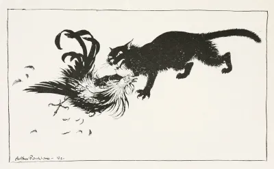 The Cat And The Cock