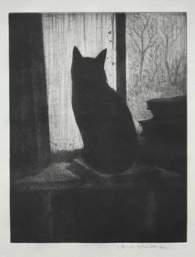 The Cat