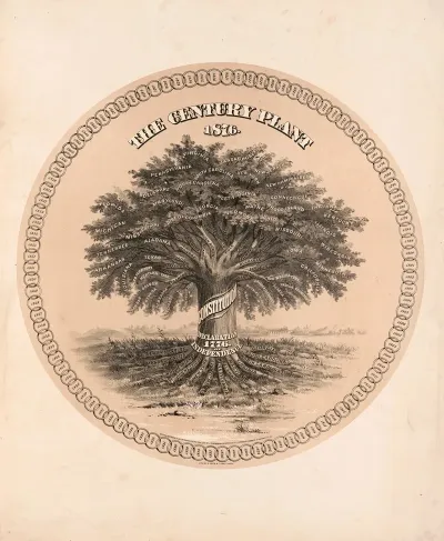 The Century Plant 1876