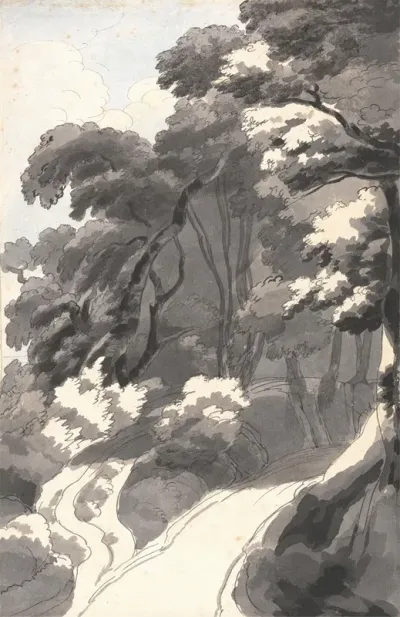 The Chestnut Grove Near Rocca Del Papa Near Lake Albano