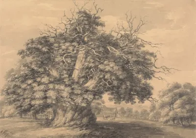 The Chestnut Tree At Little Wymondley Hertfordshire