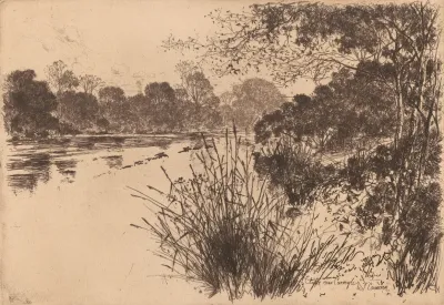 The Clyde Near Carmyle