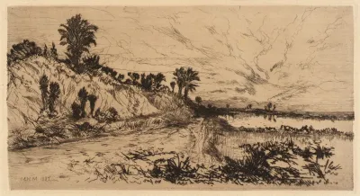 The Coast Of Florida
