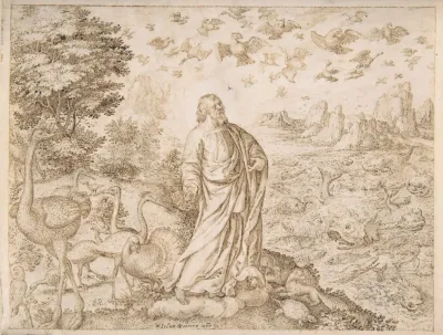 The Creation Of The Fish And The Birds