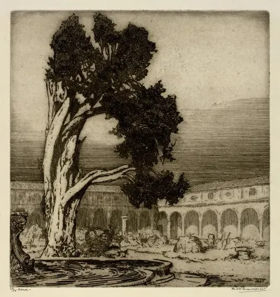 The Cypress Of Michelangelo Rome