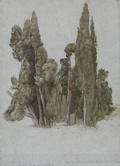 The Cypresses At The Villa Deste Tivoli