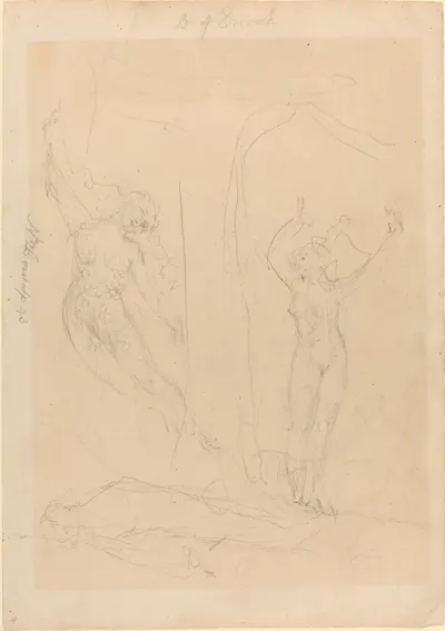 The Daughter Of Men Becomes A Siren