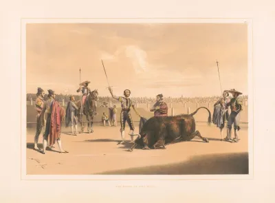 The Death Of The Bull