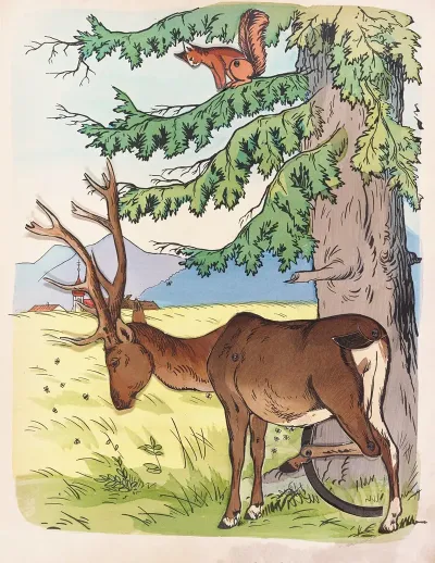 The Deer And The Squirrel