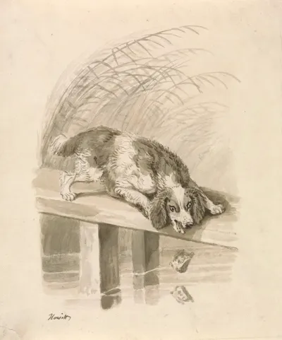 The Dog And The Shadow 2