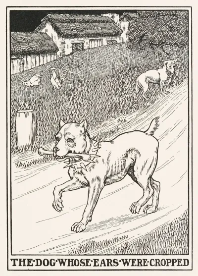 The Dog Whose Ears Were Cropped