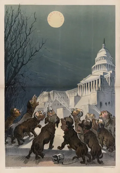 The Dogs And The Moon