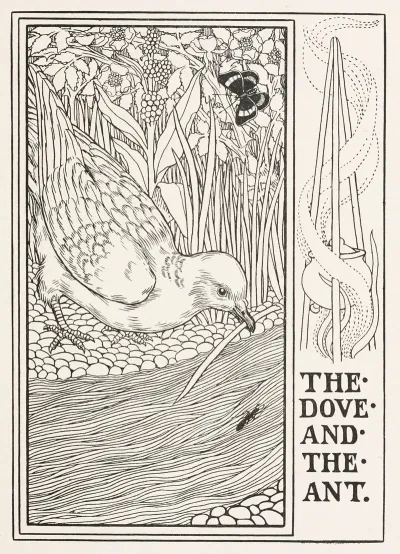 The Dove And The Ant