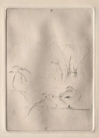 The Duck 2