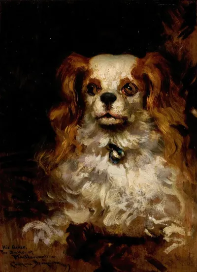 The Duke Of Marlborough Portrait Of A Puppy