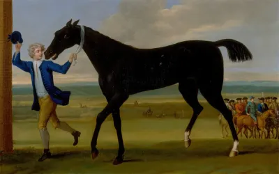 The Duke Of Rutlands Bonny Black