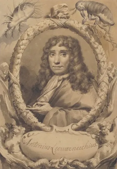 The Dutch Microscopist Anton Van Leeuwenhoek