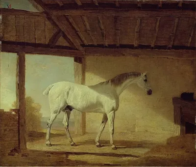 The Earl Of Coventrys Horse