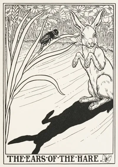 The Ears Of The Hare
