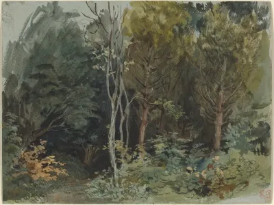 The Edge Of A Wood At Nohant