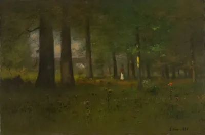 The Edge Of The Forest