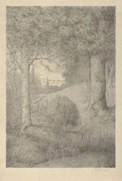 The Edge Of The Wood