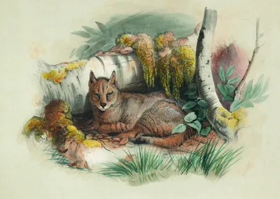 The Egyptian Cat
