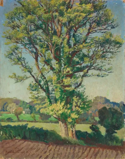 The Elm Tree