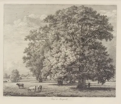 The Elms At Mongewell