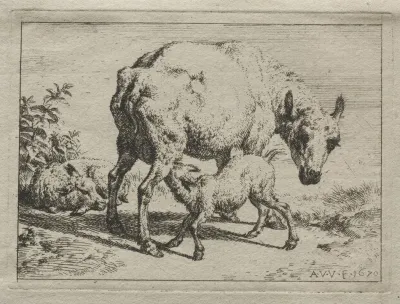 The Ewe And Two Lambs