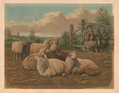 The Faithful Shepherds