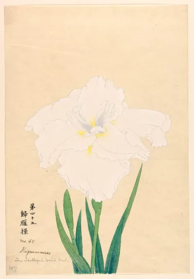 The Faithful Wild Fowl Kigaunomisao
