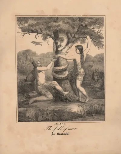 The Fall Of Man 13